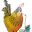 c